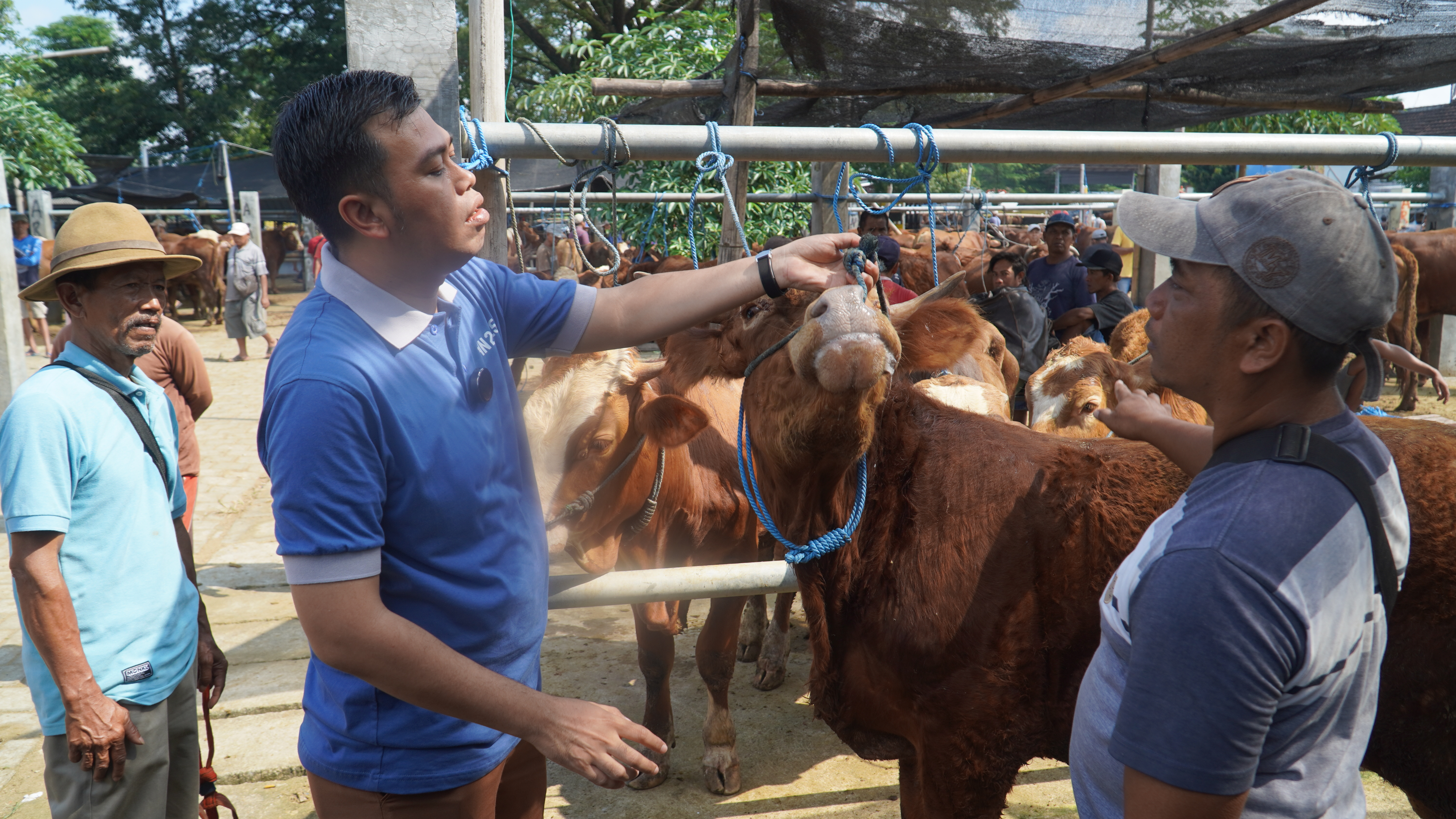 3 Juni 2025 - Monitoring Pasar Hewan