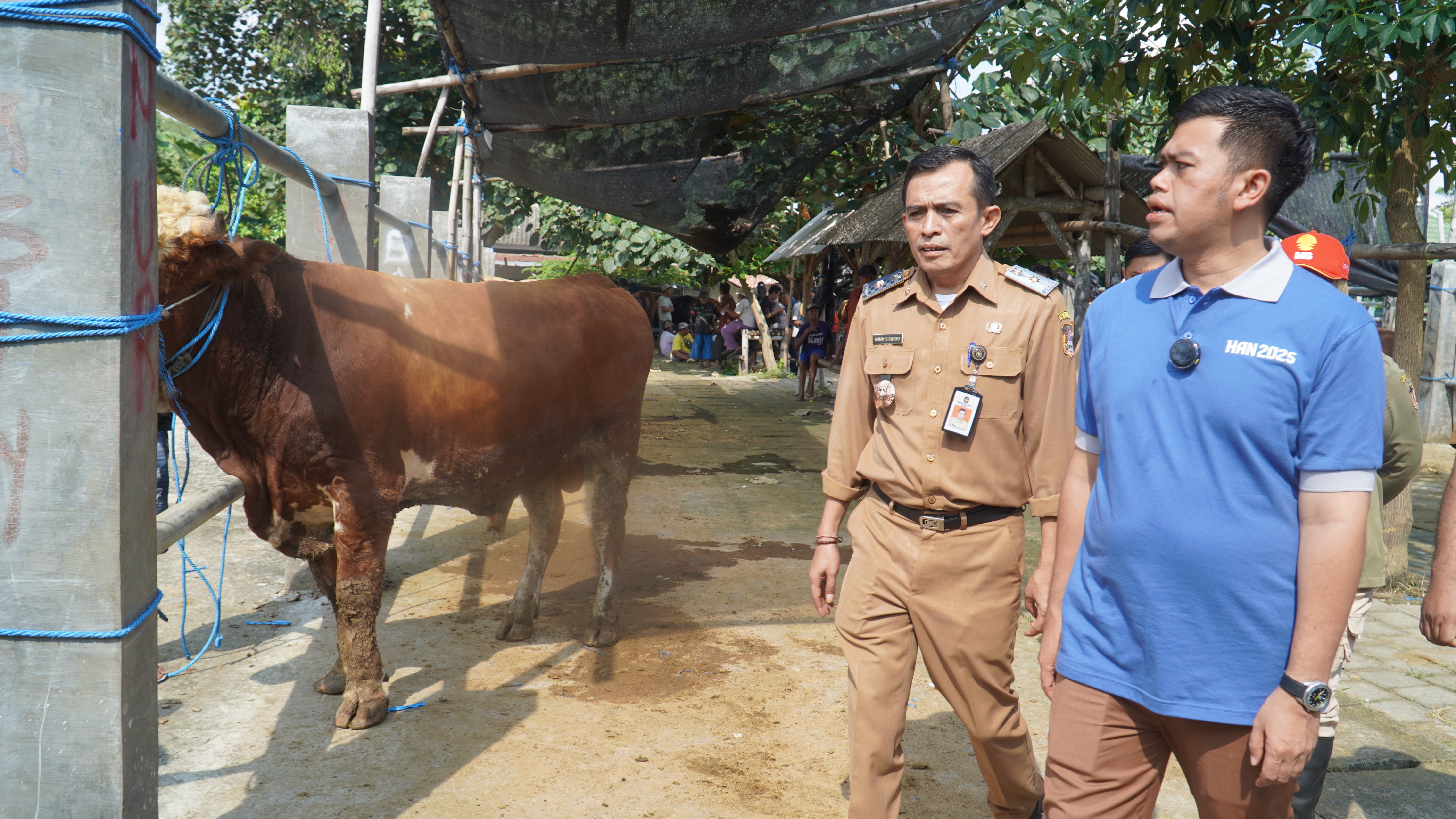 3 Juni 2025 - Monitoring Pasar Hewan