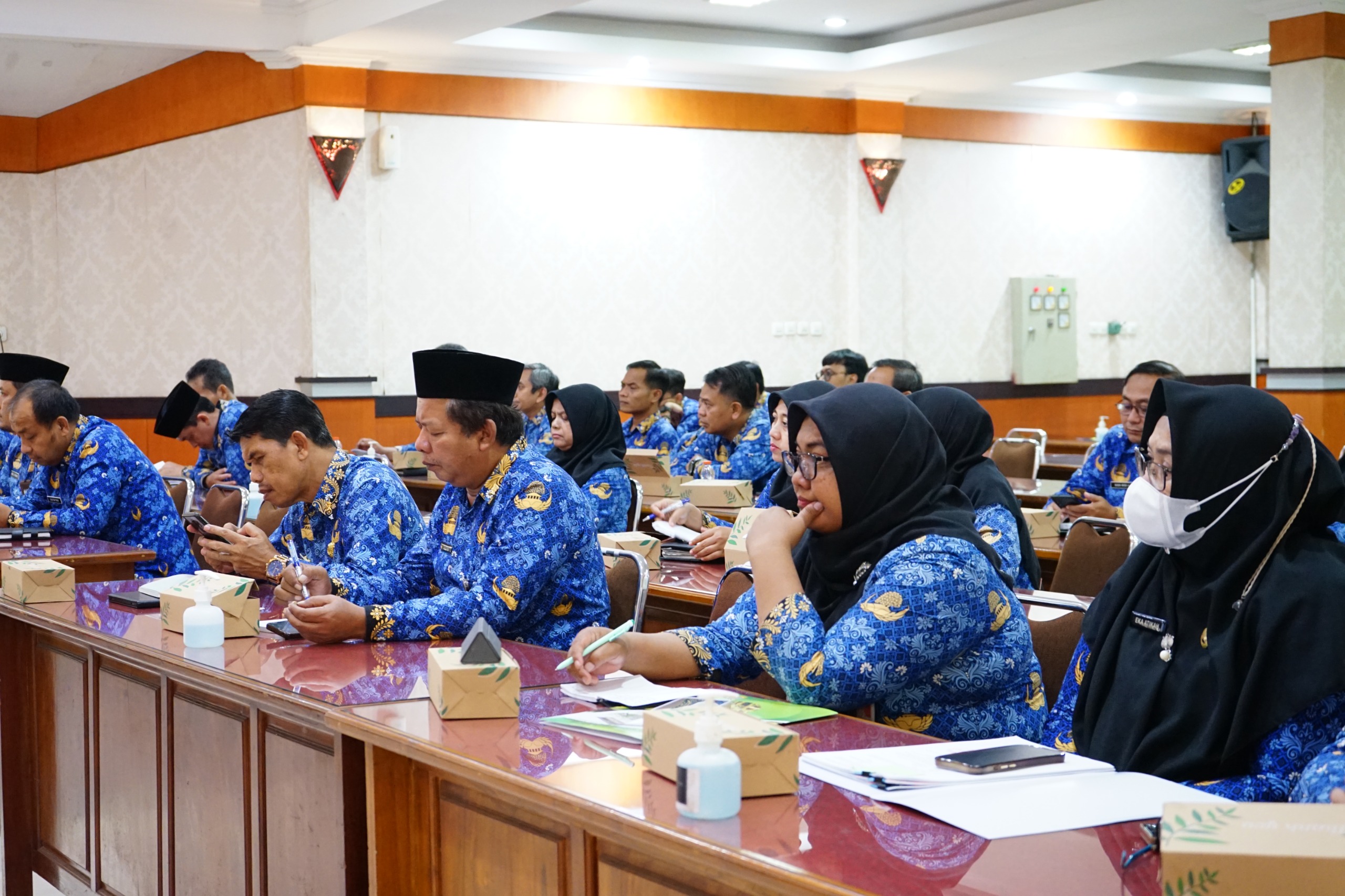 19 Mei 2025 - Rakoor Pogress MCSP IPKD di Ruang Sasana Praja