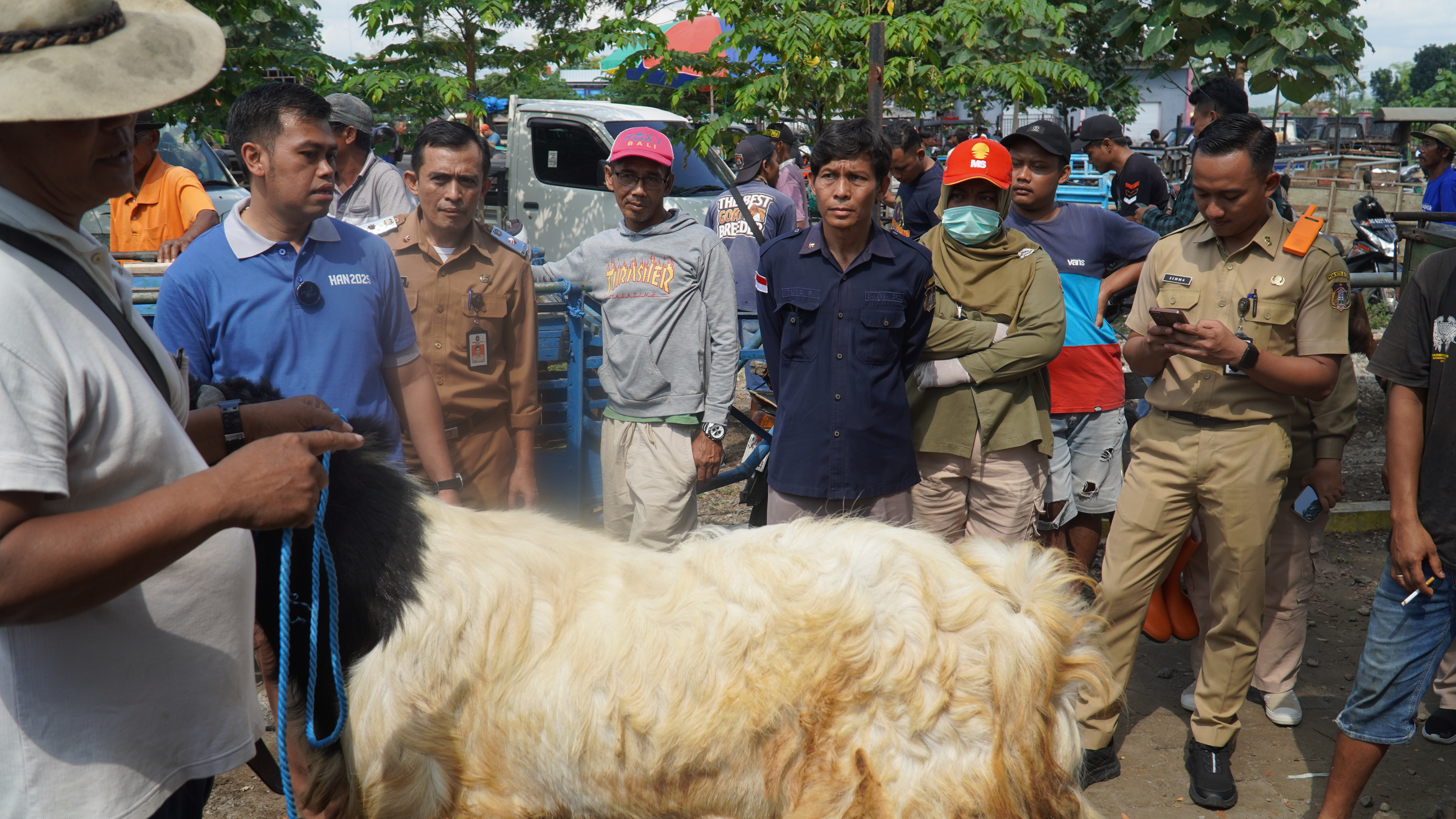 3 Juni 2025 - Monitoring Pasar Hewan