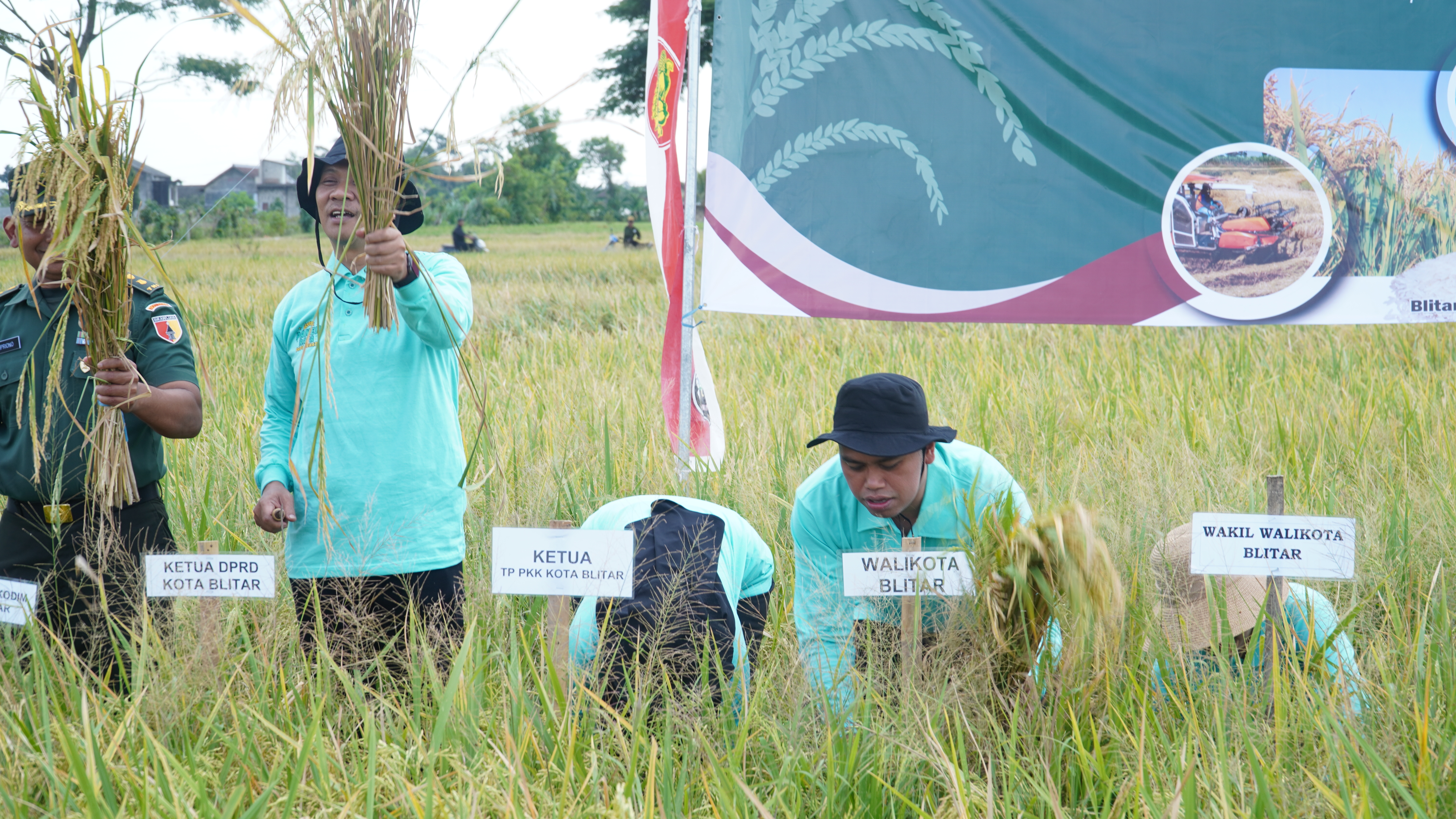 30 April 2025 - Panen Raya Padi Sehat di Sawah Poktan Rukun Makmur 1 Jl. Kali Krasak Kel.Pakunden
