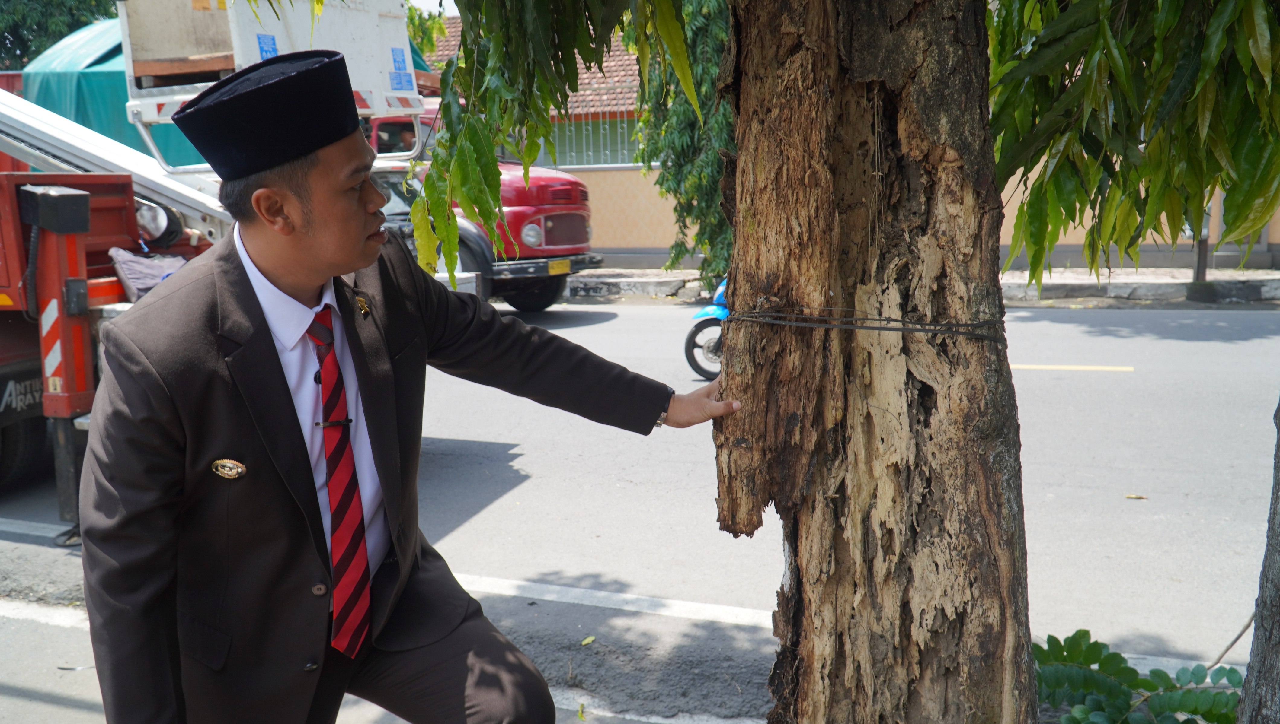 3 November 2025 - Pemantauan Pemotongan Pohon kropos di Jl. Bali Karangtengah