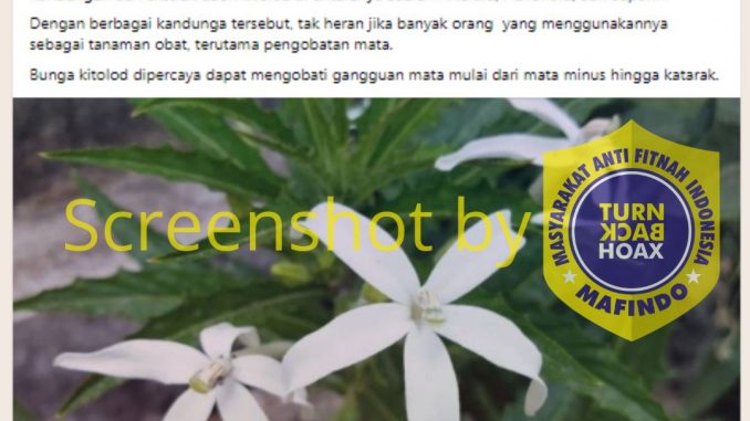 img-berita